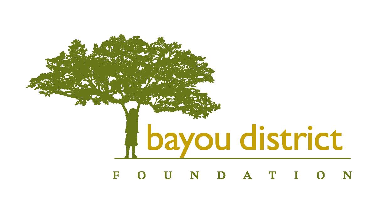 Bayou District Foundation logo